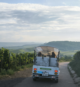 E-Tuk Tuk - fahrende Weinerlebnistouren | Brackenheim | HeilbronnerLand | © Touristikgemeinschaft HeilbronnerLand