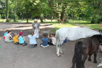 Unvergessliche Erlebnisstunden auf dem Reitbetrieb Marz  in Menzingen | © Stadt Kraichtal