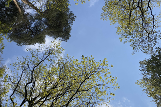 Vergnügt genügsam - achtsamer Naturspaziergang - speziell für Frauen | Waldbaden in der Neckar-Zaber-Region mit Helga Naujoks | © Neckar-Zaber-Tourismus e.V.
