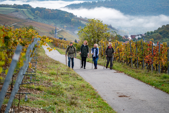 Von alten Gemäuern zum höchsten Genuss | © Liebliches Taubertal