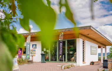 Vortrag: „Ein Garten für Fledermäuse – mehr Leben in der Nacht“ mit Maren Meissner