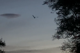 Vortrag „Fledermäuse finden Freunde - Verbreitung der Fledermäuse im Naturpark“ mit Klaus Timmerberg