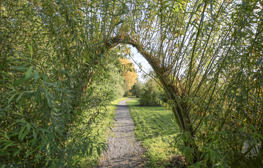 Weidenlehrpfad Kleingartach | Eppingen | HeilbronnerLand | © Große Kreisstadt Eppingen