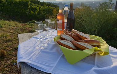 Wein - Sensorik - Kulinarik