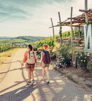 Weinausschank im Zweifelberg | Weinsüden Weinort Brackenheim | HeilbronnerLand | © Touristikgemeinschaft HeilbronnerLand