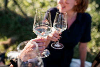 Weinblicke Natur und Neckarblick | buchbares Gruppenangebot