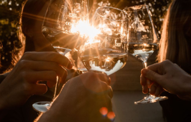 Weinblicke Natur und Neckarblick | buchbares Gruppenangebot