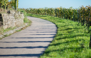 Brackenheimer (W)Einblicke | WeinErlebnisFührung mit Regine Sommerfeld im Weinsüden Weinort Brackenheim | © Neckar-Zaber-Tourismus e.V.
