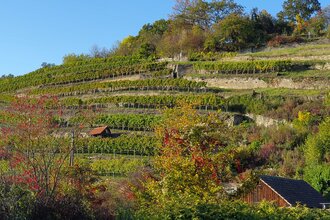 Weinkultur und Schnapsideen – Kloster Maulbronn und Schnapsmuseum Bönnigheim | © Stadt Maulbronn