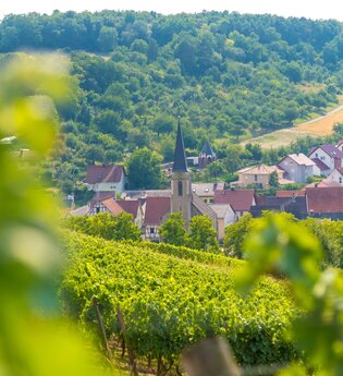 Weinwanderung in Beckstein mit Sommelierlyriker Harald Wiesmann | © Liebliches Taubertal