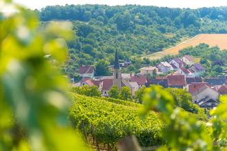 Weinwanderung in Beckstein mit Sommelierlyriker Harald Wiesmann | © Liebliches Taubertal