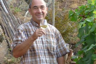 Weinwanderung mit PIWI Weinen