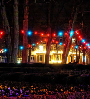 Winterleuchten im Kurpark