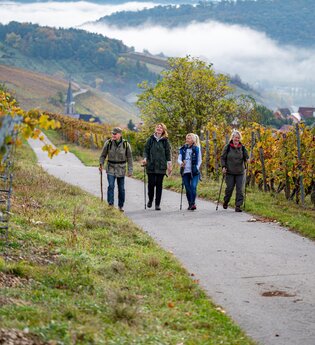 Zu Fuß auf den Spuren des Weins | © Liebliches Taubertal