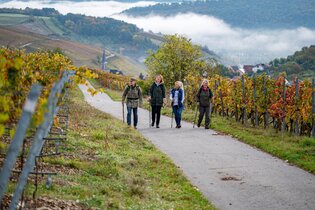 Zu Fuß auf den Spuren des Weins | © Liebliches Taubertal