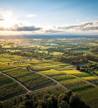 Bad Schönborn | © Tourist Info Bad Schönborn