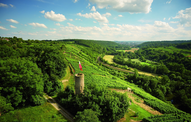Besigheim | © Stuttgart Marketing GmbH