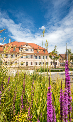 © Stadt Bönnigheim