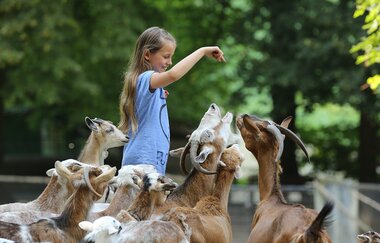Bretten | © Tierpark Bretten