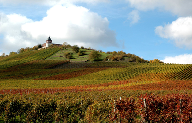 Michaelsberg Cleebronn | Schönste Weinsicht Württemberg 2020 | HeilbronnerLand | © Touristikgemeinschaft HeilbronnerLand