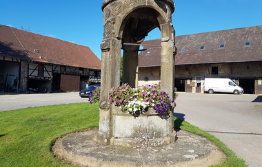 Steinerner Brunnen mit Blumen auf Rasen vor historischen Gebäuden | © Gemeinde Helmstadt