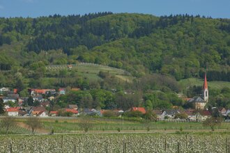 Hirschberg an der Bergstraße