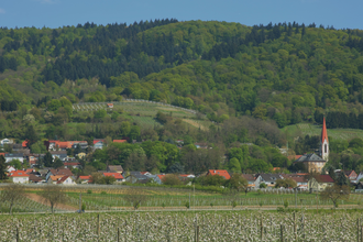 Hirschberg an der Bergstraße