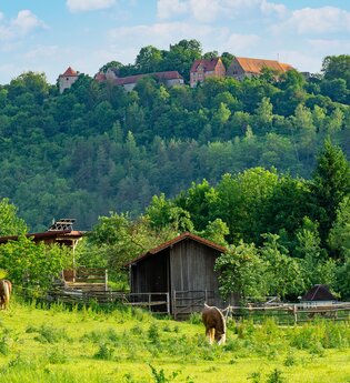 Igersheim | © Liebliches Taubertal