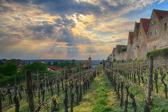 Lauffen am Neckar | HeilbronnerLand | © Ulrich Seidel | Stadtverwaltung Lauffen am Neckar