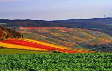 Markelsheim | © Unbekannt