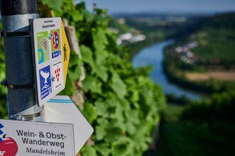 Ein Wanderwegweiser mit Symbolen verschiedener Routen steht vor einer Weinbergkulisse mit Blick ins Neckartal. | © Kraichgau-Stromberg Tourismus e.V.