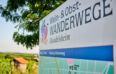 Ein Hinweisschild markiert den Einstieg in den Wein- & Obstwanderweg in Mundelsheim, umgeben von grüner Landschaft. | © Kraichgau-Stromberg Tourismus e.V.