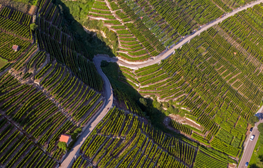Drohnenaufnahme zeigt die kunstvoll angelegten Weinbergterrassen in Mundelsheim mit kleinen Wirtschaftswegen. | © Kraichgau-Stromberg Tourismus e.V.