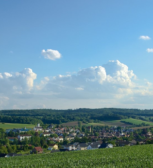 Häuser umgeben von Wäldern und Wiesen bei Sommerwetter | © Gemeinde Neckarbischofsheim