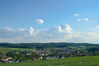Häuser umgeben von Wäldern und Wiesen bei Sommerwetter | © Gemeinde Neckarbischofsheim