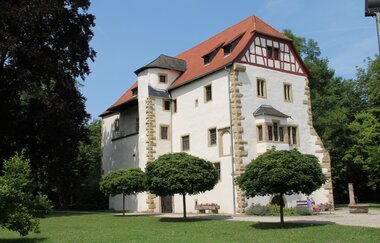 Altes weißes Schlossgebäude umgeben von Bäumen und Parkgelände | © Stadt Neckarbischofsheim