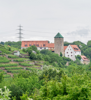 DSGVO NT Neckarwestheim Schloss Liebenstein 2 WEB | © artofpoggel.de Kristof Poggel