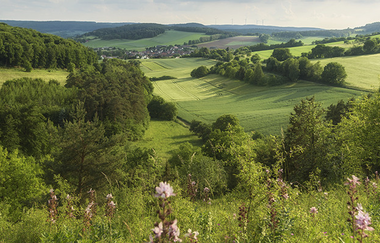 Neubrunn | © Markt Neubrunn