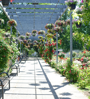 Rathauspark | HeilbronnerLand | © Gemeinde Nordheim