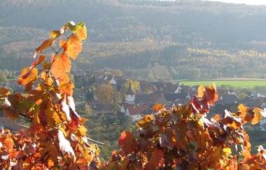 Sachsenheim | © Stadt Sachsenheim