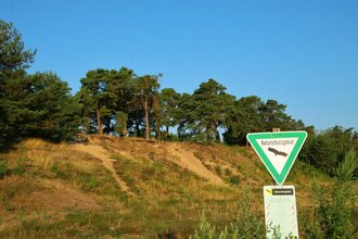 Sandhausen