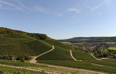 Vaihingen an der Enz