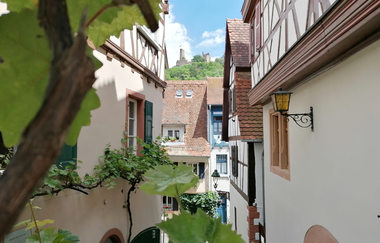 Zwischen Fachwerkhäusern kann man im Hintergrund weit oben die Burgruine sehen. | © Jasmin Wolf