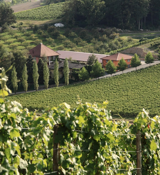Akkuladestation - Weingut Benz | © Weingut Benz