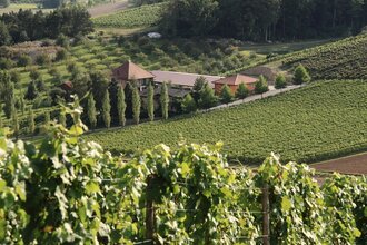 Akkuladestation - Weingut Benz | © Weingut Benz