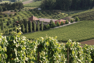 Akkuladestation - Weingut Benz | © Weingut Benz