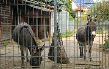 Angelbach-Tierpark in Rauenberg | © Landratsamt Rhein-Neckar-Kreis