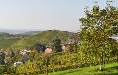 Augenberg | © Gemeinde Sternenfels
