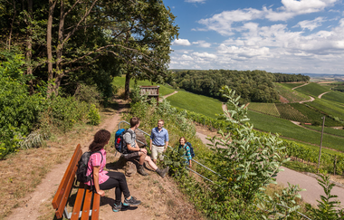 Aussichtskanzel am Weinausschank im Zweifelberg | Brackenheim | HeilbronnerLand | © Touristikgemeinschaft HeilbronnerLand e.V.