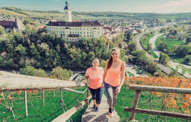 Aussicht auf Schloss Horneck | Gundelsheim | HeilbronnerLand | © Touristikgemeinschaft HeilbronnerLand